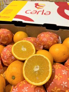 Carla-Naranjas-Grupo Niqui