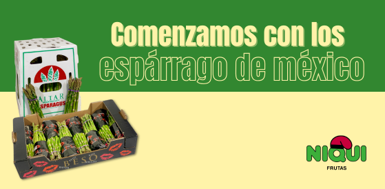 Espárrago de México-Grupo Niqui