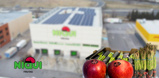 Grupo Niqui - Frutas de importación
