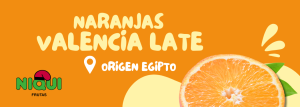 Grupo Niqui - Frutas de importación