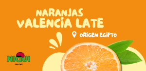Naranjas Valencia Late - Grupo Niqui