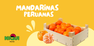 mandarinas peruanas - Grupo Niqui