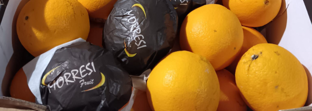 naranjas Navel procedentes de Argentina