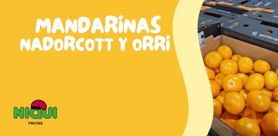 MANDARINAS NADORCOTT Y ORRI EN GRUPO NIQUI