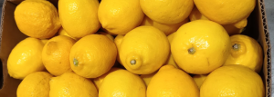limón Eureka procedente de Argentina