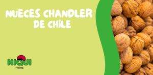 Nueces Chandler de Quelen Fruits: calidad premium disponible en Grupo Niqui