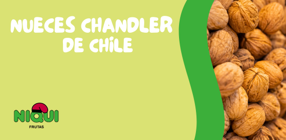 Nueces Chandler de Quelen Fruits: calidad premium disponible en Grupo Niqui