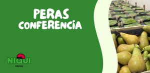 PERAS CONFERENCIA | Grupo Niqui
