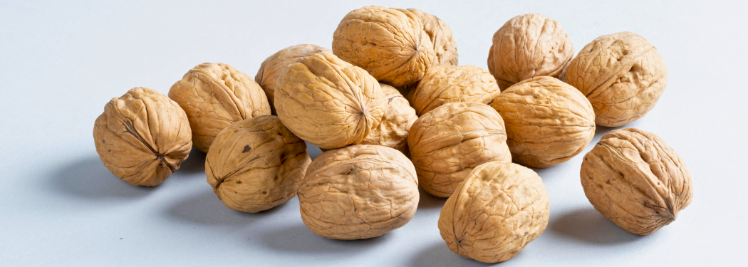 Nueces Chandler de Quelen Fruits: calidad premium disponible en Grupo Niqui