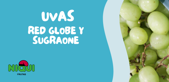 UVAS Red Globe y Sugraone | GRUPO NIQUI