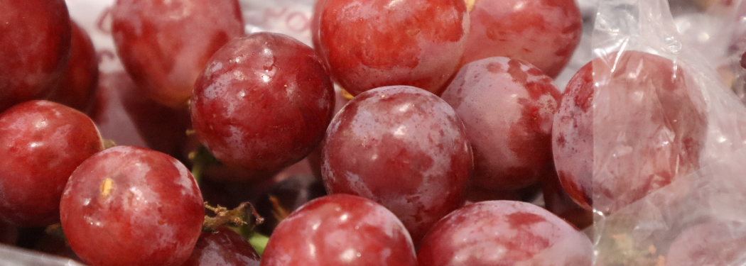 uvas peruanas Red Globe y Sugraone