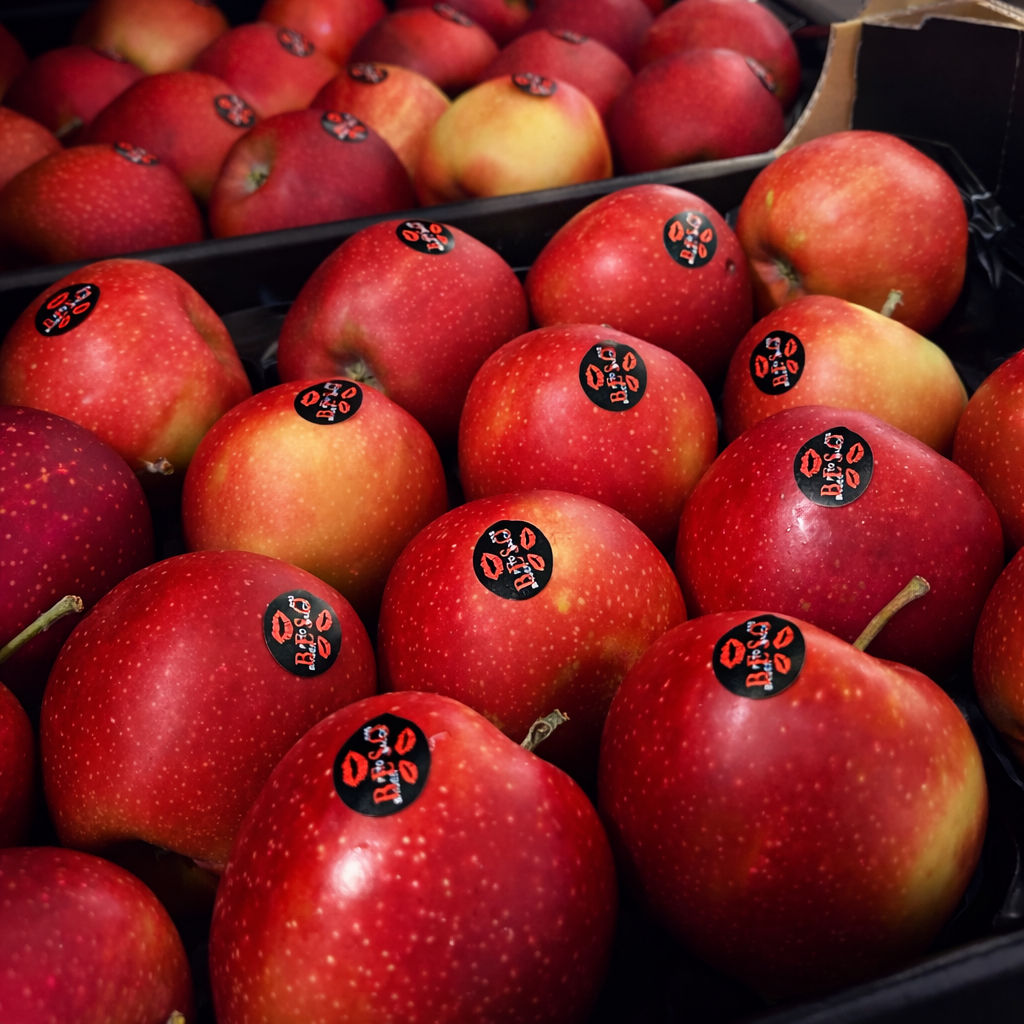 Manzanas - Grupo Niqui