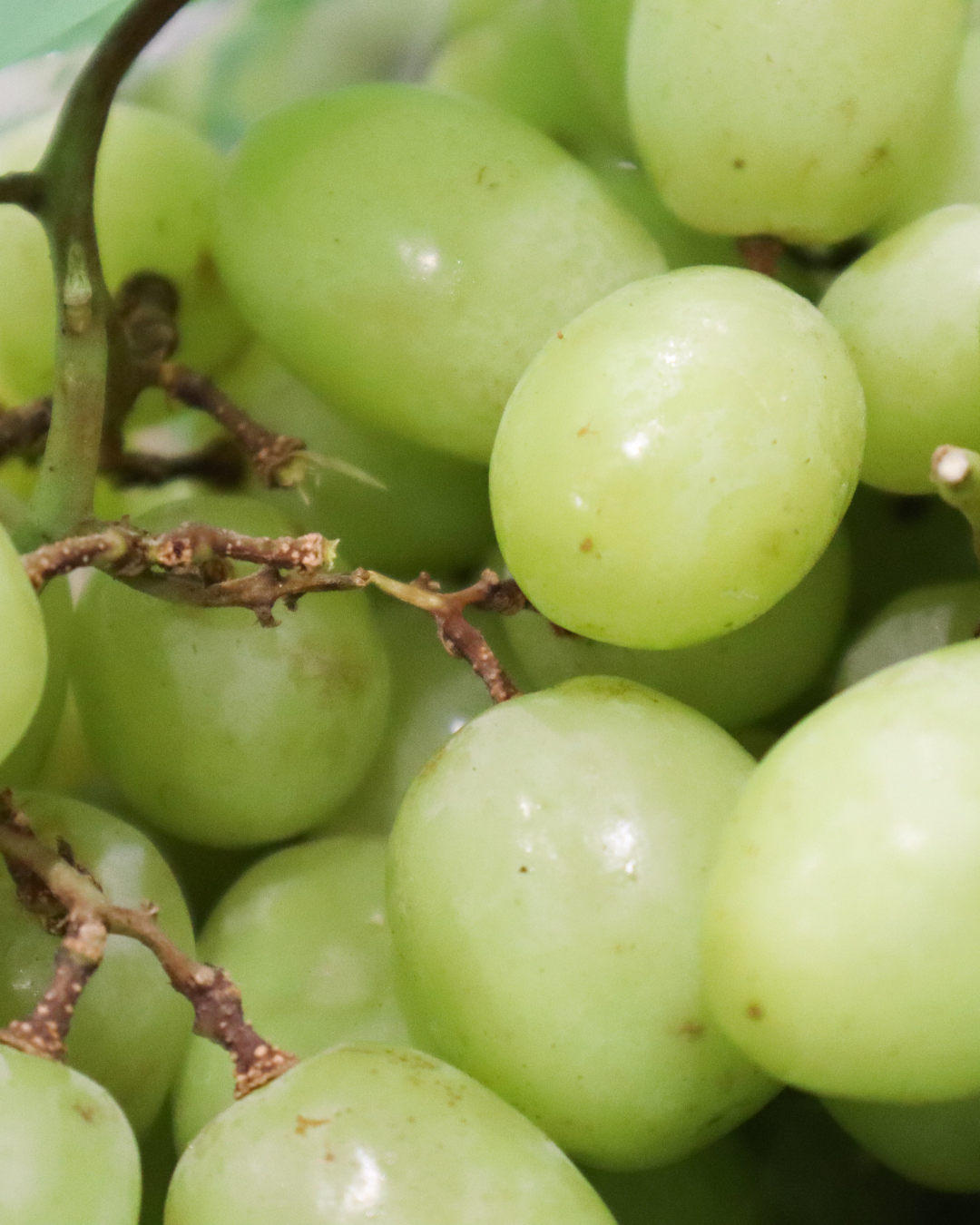 San Valentíb - Beso