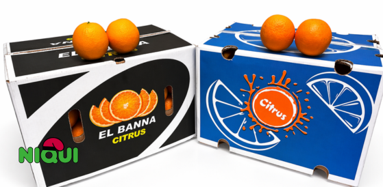 Naranja Valencia Late Egipto - en grupo niqui