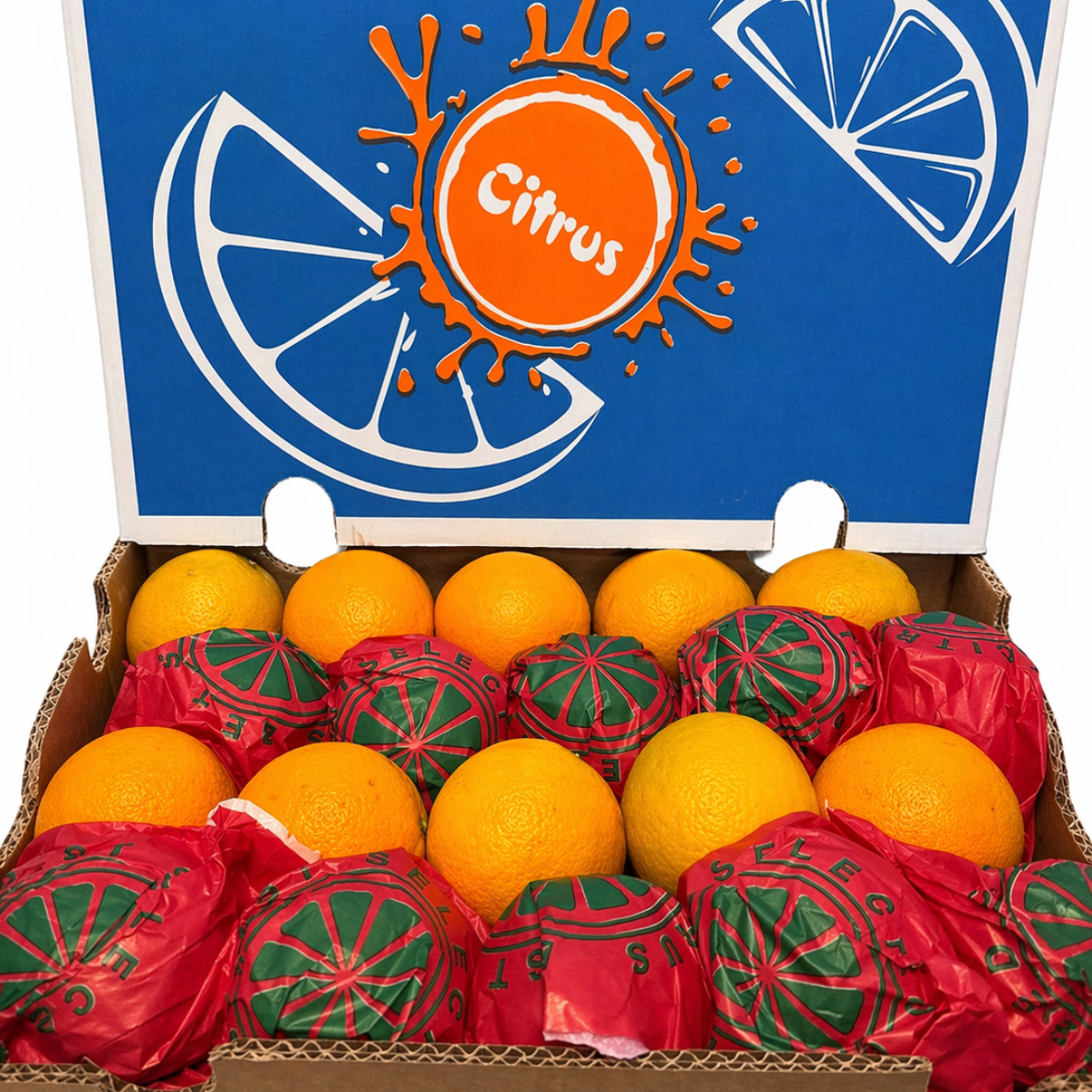 Naranja Valenciana El Banna y Citrus (3)