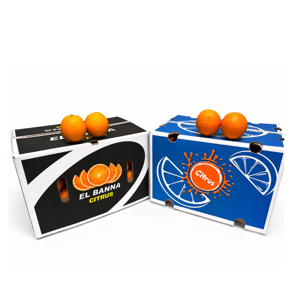 Naranja Valenciana El Banna y Citrus